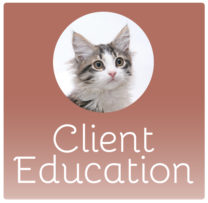 Client Education