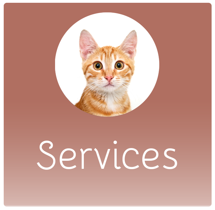 Services