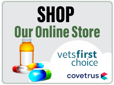 Shop online store button